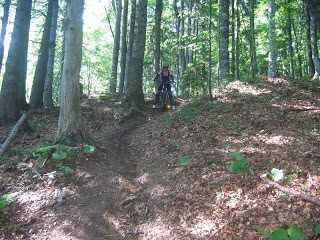 Bike Ride - Sinaia 1