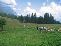 Bike Ride - Sinaia 3