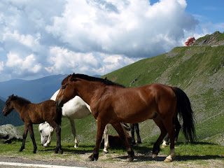 Road Trip Sibiu (pe Transfagarasan) 9