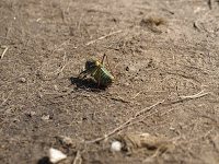 Bike Ride - Busteni - Trekking Vf. Omu Bike Ride - Busteni - Trekking Vf. Omu 14