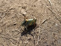 Bike Ride - Busteni - Trekking Vf. Omu Bike Ride - Busteni - Trekking Vf. Omu 13