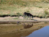 Trekking - Vf. Ciucas 9