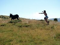 Trekking - Vf. Ciucas 10