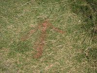 Trekking - Vf. Ciucas 13