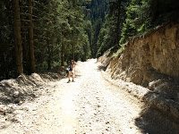 Trekking - Vf. Ciucas 4