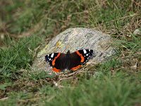 Trekking Cheia - Culmea Zaganu-Gropsoarele - Cab. Mt. Rosu 6