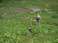Trekking Cheia - Culmea Zaganu-Gropsoarele - Cab. Mt. Rosu 7