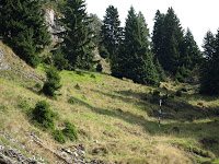 Trekking Cheia - Culmea Zaganu-Gropsoarele - Cab. Mt. Rosu 9