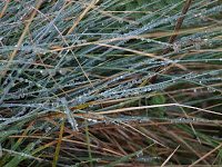 Trekking Cheia - Culmea Zaganu-Gropsoarele - Cab. Mt. Rosu 11