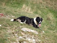 Trekking Cheia - Culmea Zaganu-Gropsoarele - Cab. Mt. Rosu 14