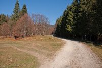 Trekking Cheia - Islaz - Mt. Rosu - Valea Berii 1