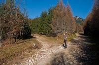 Trekking Cheia - Islaz - Mt. Rosu - Valea Berii 7