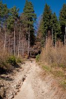 Trekking Cheia - Islaz - Mt. Rosu - Valea Berii 8