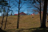 Trekking Cheia - Islaz - Mt. Rosu - Valea Berii 12