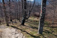Trekking Cheia - Islaz - Mt. Rosu - Valea Berii 14