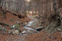 Trekking Cheia - Islaz - Mt. Rosu - Valea Berii 17