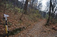 Trekking Brasov - Tâmpa + bonus costite 1