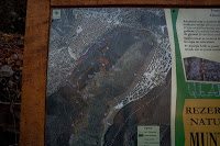 Trekking Brasov - Tâmpa + bonus costite 2