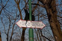 Trekking Brasov - Tâmpa + bonus costite 5