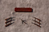 Trekking Brasov - Tâmpa + bonus costite 7