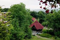 De o zi: Vulcanii Noroiosi 15