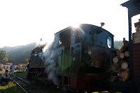 Road Trip - Mocanita din Viseu 11