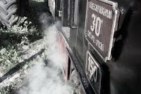 Road Trip - Mocanita din Viseu 13