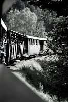 Road Trip - Mocanita din Viseu 29