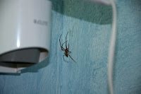 Road Trip - Mocanita din Viseu 33