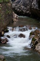 Road Trip - Mocanita din Viseu 42