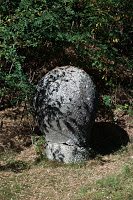 Road Trip Transalpina 4