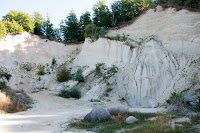 Road Trip Transalpina 8