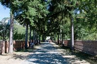 Road Trip Transalpina 19