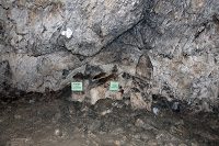 Road Trip Transalpina 12