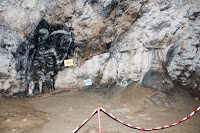 Road Trip Transalpina 14