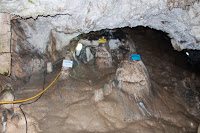 Road Trip Transalpina 16