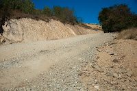 Road Trip Transalpina 39