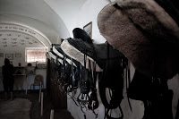 Road Trip Transalpina 53