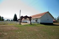 Road Trip Transalpina 54