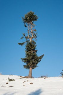 De o zi: Cascada Putna 11