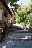 Road Trip Bulgaria - Ferma de Scoici 4