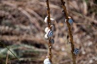 Road Trip Bulgaria - Ferma de Scoici 15