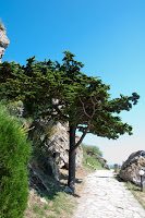 Road Trip Bulgaria - Ferma de Scoici 14