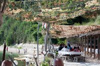 Road Trip Bulgaria - Ferma de Scoici 27