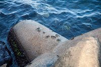 Road Trip Bulgaria - Ferma de Scoici 23