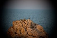 Road Trip Bulgaria - Ferma de Scoici 31