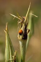 Road Trip Bulgaria - Ferma de Scoici 35