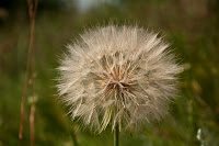 Road Trip Bulgaria - Ferma de Scoici 36