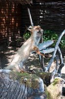 Road Trip Cetatea Neamt 10