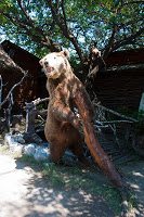 Road Trip Cetatea Neamt 11